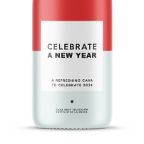 MessageBottle - Celebrate A New Year